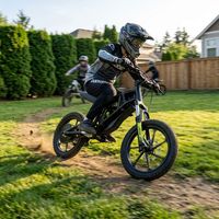 Moto électrique tout-terrain Suron Light Bee x 36V, 1KW, 35 km/h, 10Ah, propulsion arrière, 5 vitesses, pneus larges 16*2.40, pour adultes