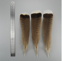 Plumes d'aigle pour décoration de vases, accessoires de carnaval, 20-30 cm, plumes de dinde naturelles pour travaux d'aiguille et artisanat