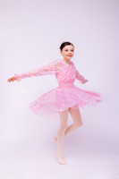 Vente en gros Nouveau Giselle Ballet Tutu Robe Petite Fille Rose Tulle Jupe Adultes Enfants Fait Spandex Nylon Scène Performance Danse