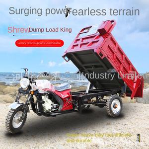 Tricycle agricole à trois <span class=keywords><strong>roues</strong></span> à benne basculante, véhicule utilitaire à carrosserie ouverte, pouvant être homologué pour usage domestique - Product Image 2