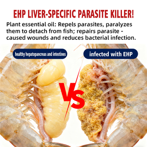 Bugzero giết chết ký sinh trùng sửa chữa loét vỏ ngăn ngừa nhiễm trùng thứ cấp - Product Image 6