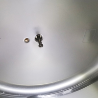 Réservoir de blanchiment commercial 10BBL |   Acier inoxydable 316L avec automatisation PLC pour la carbonatation de bière artisanale