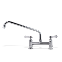 Design élégant Noyau de valve en céramique à double poignée Robinet de cuisine universel en acier inoxydable 304 Robinet à dessin élégant Robinets de lavabo