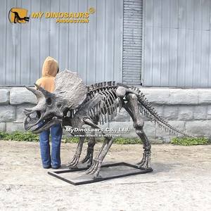 <span class=keywords><strong>Esqueleto</strong></span> de Dinosaurio <span class=keywords><strong>Triceratops</strong></span> 3D Realista para Exhibición en Museo, MY DINO DS-143 - Product Image 2