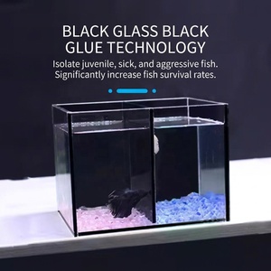 Acquario JSD a doppia divisione per pesci <span class=keywords><strong>Betta</strong></span>, 8 pollici, in vetro <span class=keywords><strong>nero</strong></span> ultra trasparente, vasca di isolamento e allevamento per pesci da combattimento - Product Image 3