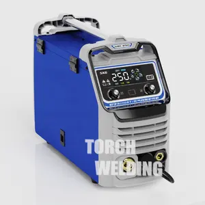 Oem Acceptable Gas Gasless Flux Mini Mig/Mag Tig Mma Arc Welder 220V Dc Inverter Mig Welding Machine 200A