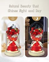 Bouquet de roses LED préservées - Fleurs éternelles pour la fête des mères et les cadeaux d'anniversaire, roses rouges pour femmes, maman, petite amie