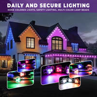Luz de punto LED de Navidad para exteriores a precio de fábrica, iluminación decorativa de pared Exterior de plástico de 1m para casa permanente