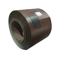 Bobine d'acier PPGI imprimée grain de bois 3D 0,45 mm DX51D, tôle d'acier galvanisé prépeinte pour décoration intérieure, garage, pliage et découpe