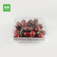 Vente en gros Boîte en plastique jetable pour la nourriture pour gâteau Chocolat Cookie Cupcake Bonbons Dessert Pâtisserie Muffin Sushi Case