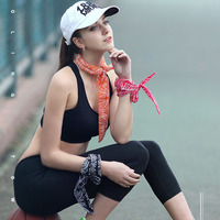 Bandana Rafraîchissant pour Chiens – Écharpe d'Été Refroidissante pour le Cou, Bandeau Rafraîchissant pour Animaux de Compagnie, Foulard Rafraîchissant pour Sports de Plein Air