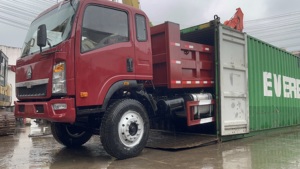 Camión Ligero CNHTC de Segunda Mano con Luz Roja, Vista Frontal, Vehículo Comercial con Motor de 6000 KG, Informes Disponibles - Product Image 2