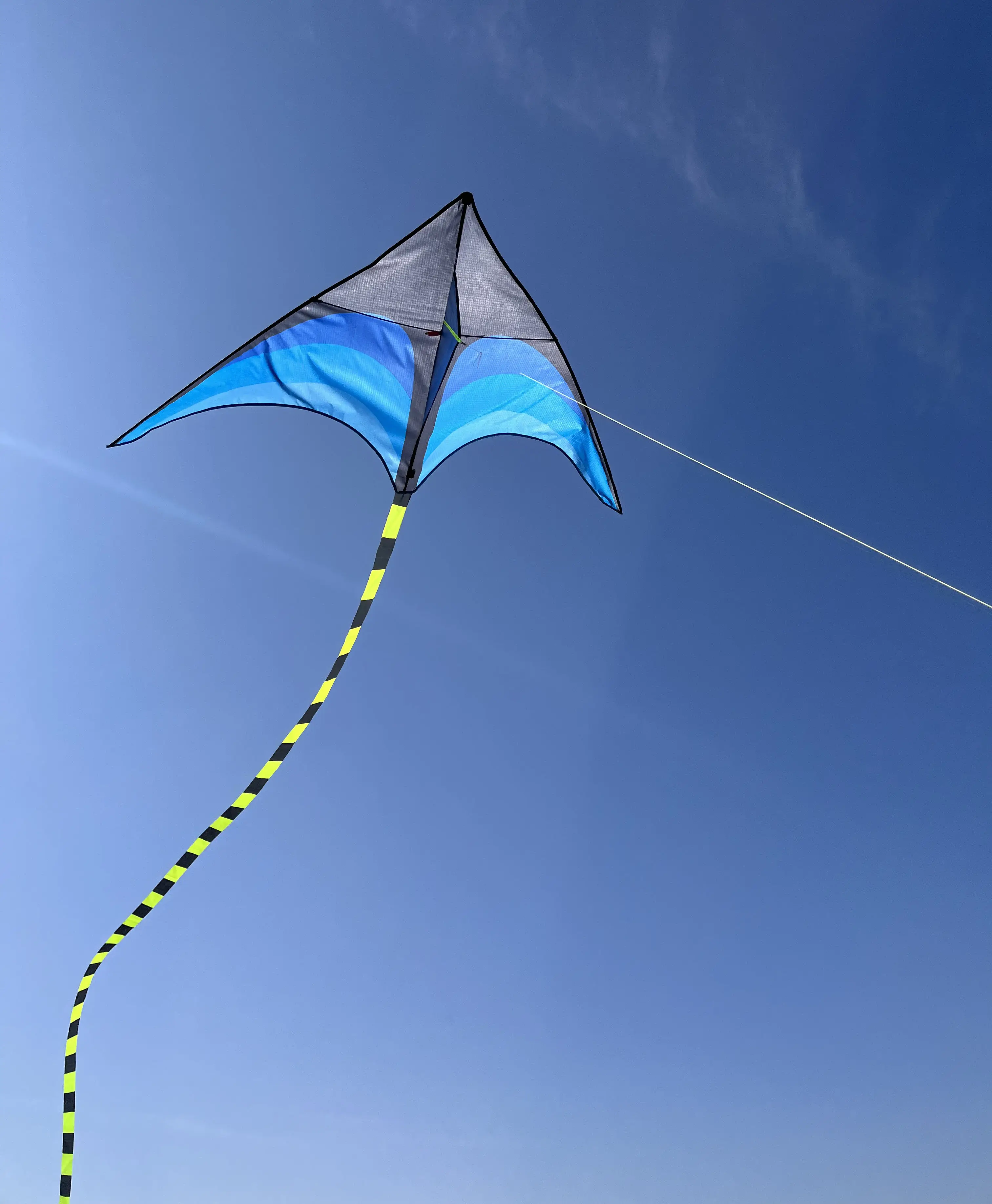 Novo estilo fácil mosca fácil montar delta kite