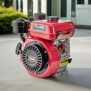 Moteur <span class=keywords><strong>diesel</strong></span> <span class=keywords><strong>monocylindre</strong></span> 4 temps refroidi par air TLJ OEM-Friendly 3,5 CV 196 cm³ et pompe pour machines portables personnalisées - Product Image 1