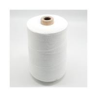 Super Qualité meilleure vente broderie Fil 100% filé fil de fermeture de sac de polyester avec le prix bon marché