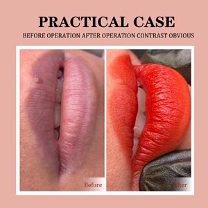 Wenshen Lushcolor 15 couleurs permablend machine à tatouer encre de <span class=keywords><strong>tatouage</strong></span> pigment permanent pour lèvres pigment nude - Product Image 3