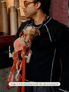 Roupas para Cães Pequenos e Greyhounds, Novo Modelo Fofo de Algodão para Primavera, Camisetas de Manga Longa |   Roupas Personalizadas de Alta Qualidade por Atacado - Product Image 6