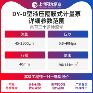 ปั๊มสูบจ่ายสารเคมีไฮดรอลิกแบบไดอะแฟรม รุ่น DY-D 4540 ยี่ห้อ Shanghai Sunshine Pump Industry ผลิตจากสแตนเลส 316 ขับเคลื่อนด้วยไฟฟ้า - Product Image 3