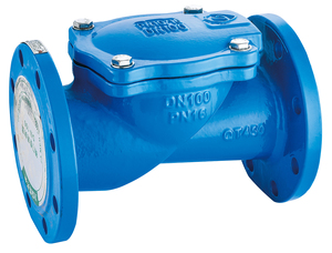Válvula de Retención Silenciosa de Hierro Fundido con Estructura de Filtro y Sellado EPDM, Tamaño de Puerto de 2 Pulgadas, para Agua a Alta Temperatura, Directo de Fábrica - Product Image 5