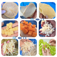Industrie Vers Fruit Tomaat Mango Kubus En Plantaardige Wortel Okra Snijmachine Snijmachine Strip Chopper Snijmachine Voor Restaurants