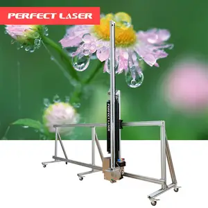 Perfect Laser-Double Heads 3D Effect Wood Paper Glass Ceramic Metal Inkjet Printer on Wall Automatic Wall Painting Machine