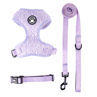 Ensemble Harnais et Laisse pour Chien à Motif Patte Réglable avec Conception Personnalisée, Matière Respirante, Vente Directe Usine