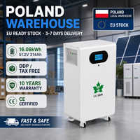Batterie LiFePO4 51,2V 314Ah murale ou au sol 16kWh 10KW, stock local UE, expédition rapide pour système de sauvegarde d'énergie solaire domestique