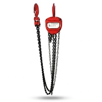 Polipasto Manual de Cadena de Alta Calidad en Oferta con Sistema Clásico de Polea para Grúa, Capacidad de Carga Personalizable para Levantar Mercancías