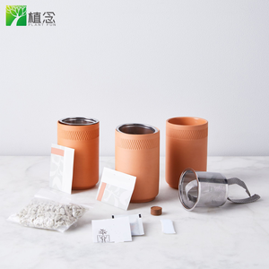 Nouvel arrivage de Bonsaï de palmier Kit de plantes en pot d'intérieur Macetas Bonsaï pour décorations de maison - Product Image 3