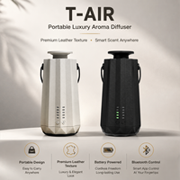 Diffuseur d'arômes portable de luxe rechargeable sans eau en plastique, petite taille, pour la maison, l'hôtel, le bureau