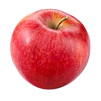 Zoete Gala Appels Verse Appel Maat 80-120, Fuji Rode Appels Uit China Fabriek