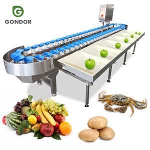 Machine de tri et de calibrage automatique des fruits (huîtres, pommes de terre, poissons, mangues, crevettes, oranges, pommes) par poids - Product Image 1
