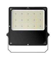 Nuevo molde privado 30W 50W 80W 100W LED Luz de inundación Carcasa de aluminio SMD Chips IP66 Garantía nominal de 5 años Alto CRI 80 Regulable