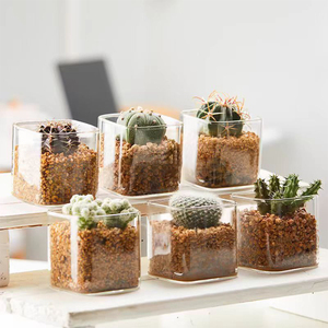 Table Home Decor <span class=keywords><strong>Carré</strong></span> Simple Haute Borosilicate Verre Fleur Bouteille Plante Verte Verre Pot De Fleur Clair Mini <span class=keywords><strong>Vase</strong></span> - Product Image 2