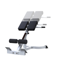 2024 Wavar Best-seller banc hyperextension réglable chaise romaine équipement de musculation avec piles de poids de câble