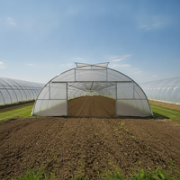 Serre tunnel agricole monopente compacte avec structure en acier galvanisé et film PE, montage facile pour la culture de tomates, concombres et poivrons