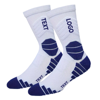 Chaussettes de sport de plein air professionnelles de qualité supérieure pour hommes et femmes, chaussettes tubulaires de basketball, chaussettes de course personnalisées avec logo