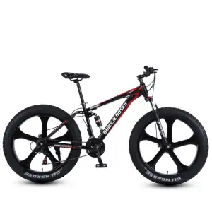 Fabrication en gros tianjin prix usine 24 pouces vélo électrique vélo apollo pour hommes gros vélo