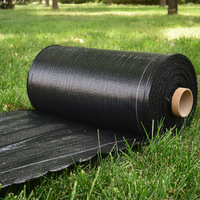 Toile tissée en PP anti-mauvaises herbes, bâche de paillage pour jardin, protection UV, couverture de sol