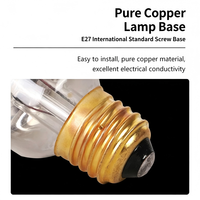 Lampe chauffante pour porcelets, poussins et usage vétérinaire, sans réglage de température de couleur, matériau du corps de la lampe