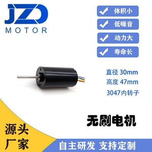 Motor CC sin escobillas JZD-3047 de 24V, 30mm de diámetro, 4250 RPM, montaje con brida para bomba de agua - Product Image 5