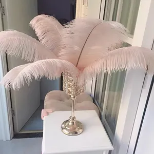 Nordic Home Decor Hot Selling Fashion Item Luxury Authentic Ostrich Feathers For Home Decoration Wedding Decoration