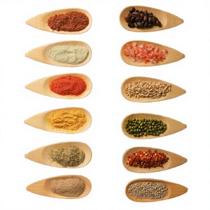 Mini-cuillères en bambou modernes pour le camping - Écologiques pour le sel et les feuilles de thé en vrac - Product Image 3