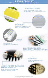 <span class=keywords><strong>Tube</strong></span> LED T8 WOOJONG Factory AC120V 7W 0,6m 2FT 7W 900-1000lm pour le marché américain - Product Image 5