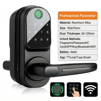 Serrure de porte intelligente TTlock Tuya, contrôle à distance par empreinte digitale, entrée sans clé, poignée électrique, sécurité, serrures intelligentes pour la maison
