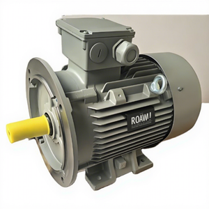 Fournir des services de réparation sur site pour les moteurs à induction AC Innomotics 110 kW, 160 kW, 220 kW, 300 kW, 355 kW, 400 kW. - Product Image 5