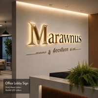 Enseigne personnalisée en lettres 3D en acrylique rétroéclairées par LED, bandes LED étanches IP65, télécommande, logo lumineux blanc chaud pour