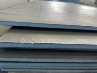 Panneau de support pour carrelage isolant thermiquement XPS avec résistance au feu B1, garantie 5 ans pour les applications de salle de bain et murales