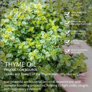 Huile essentielle de thym pure distillée à la vapeur de marque privée naturelle 1kg pour faire du nettoyage - Product Image 2
