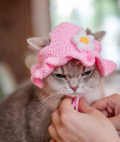 Costume pour petit animal de compagnie de style festival sucré, chapeau de chat en crochet, tenue de béret, accessoires pour chat tricotés à la main en laine
